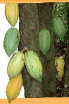 Задание рисунок 1