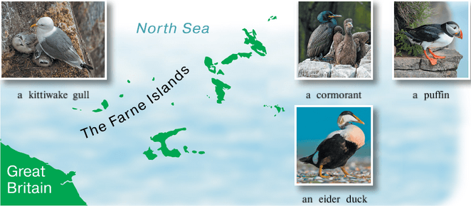 Задание рисунок 1