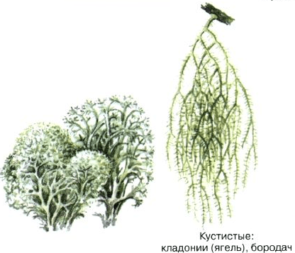 Решение рисунок 2