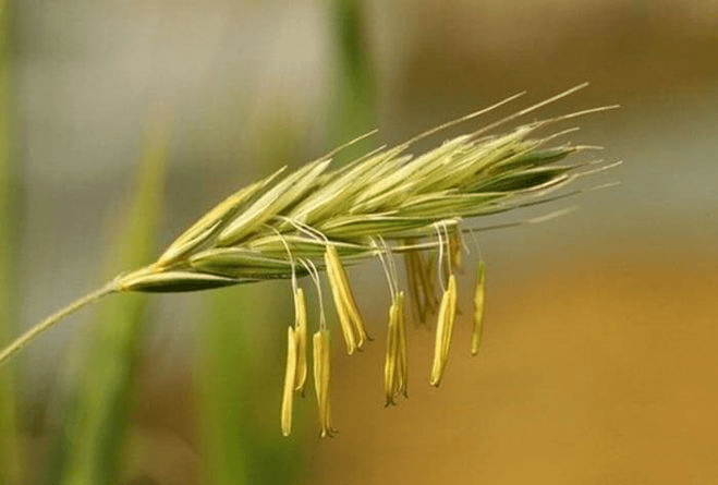 Решение рисунок 1