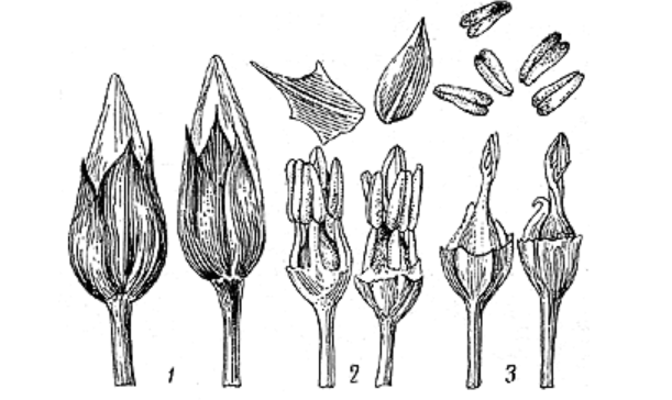 Решение рисунок 2