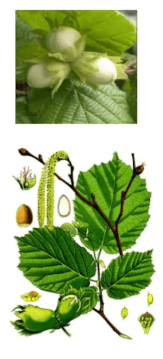 Решение рисунок 4