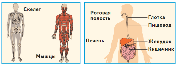 Задание рисунок 3