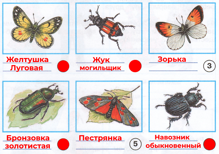 Решение рисунок 2