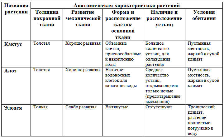Решение рисунок 2