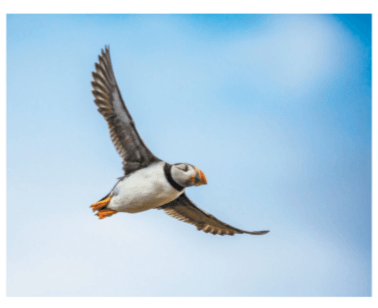 Задание рисунок 1