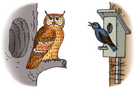 Задание рисунок 6